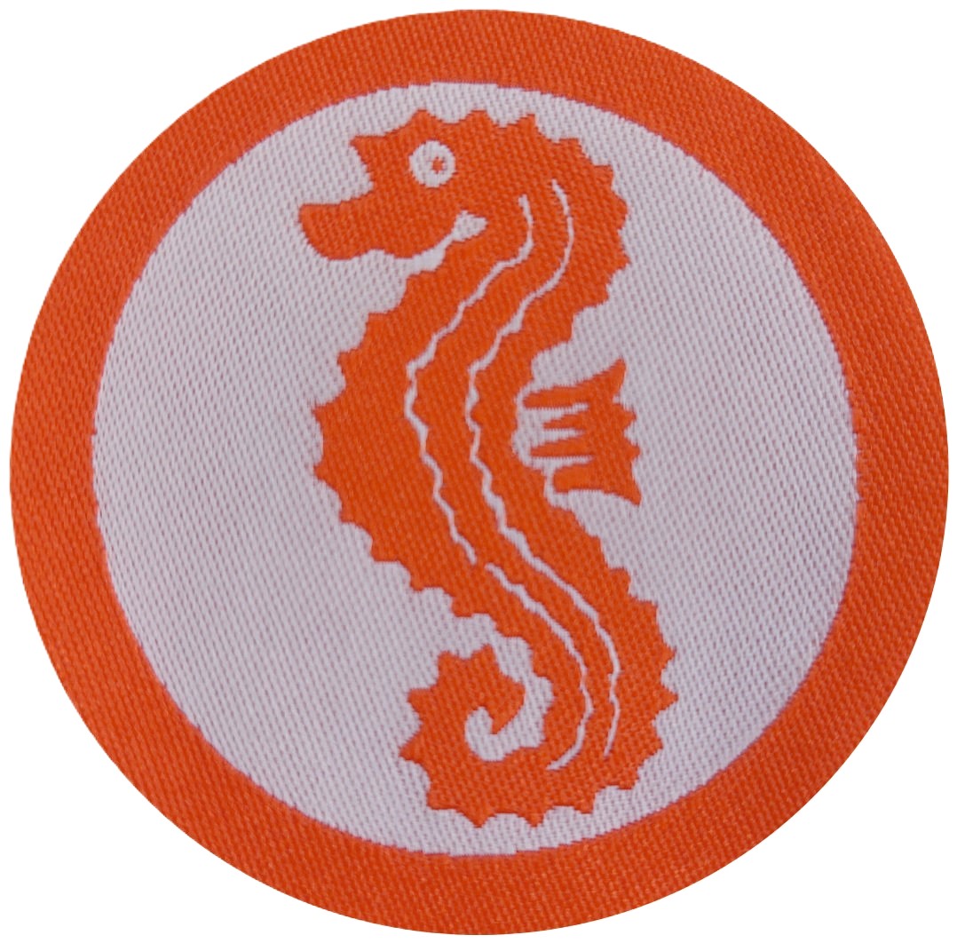Anfängerschwimmkurs